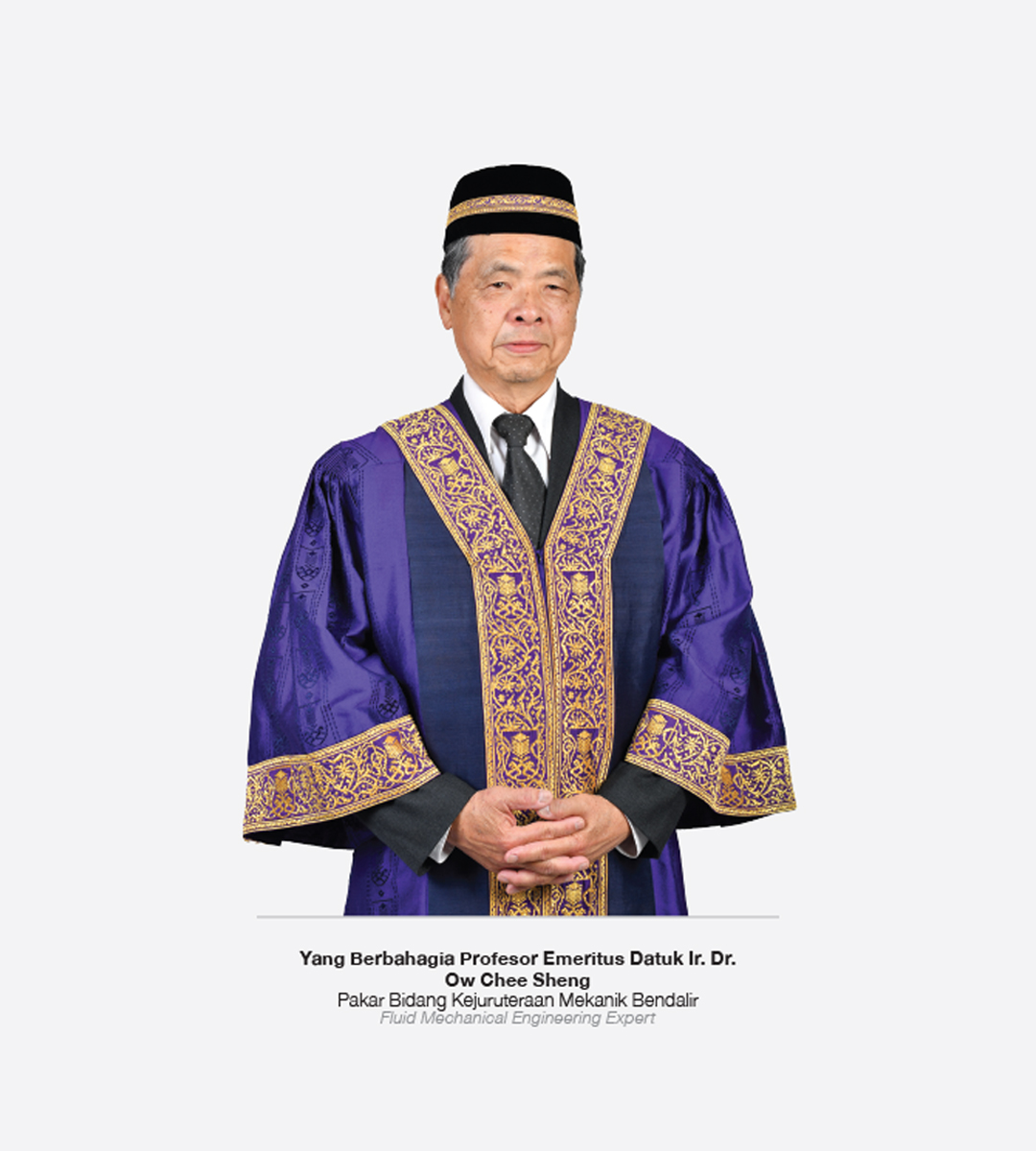 Emeritus Professor Recipient